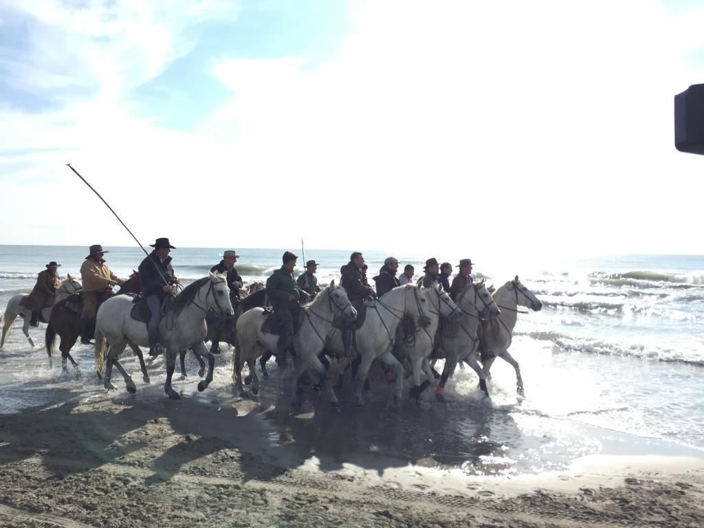 Hotel Les Palmiers En Camargue سانت ماري دو لا مير المظهر الخارجي الصورة
