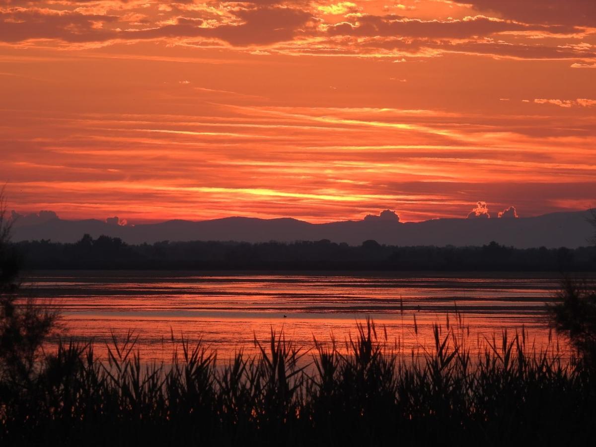 Hotel Les Palmiers En Camargue سانت ماري دو لا مير المظهر الخارجي الصورة