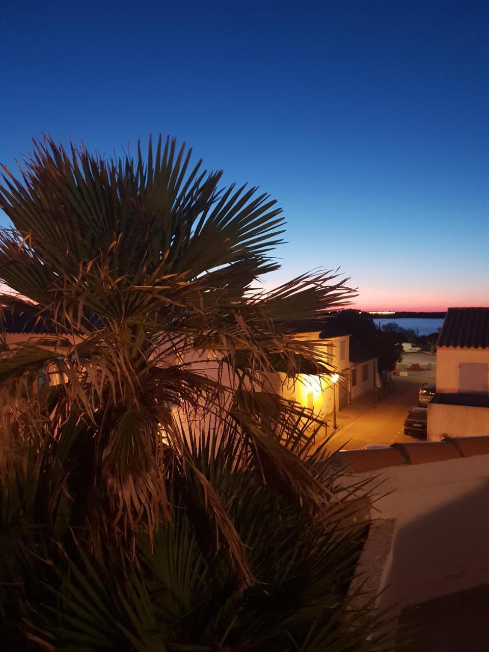 Hotel Les Palmiers En Camargue سانت ماري دو لا مير المظهر الخارجي الصورة